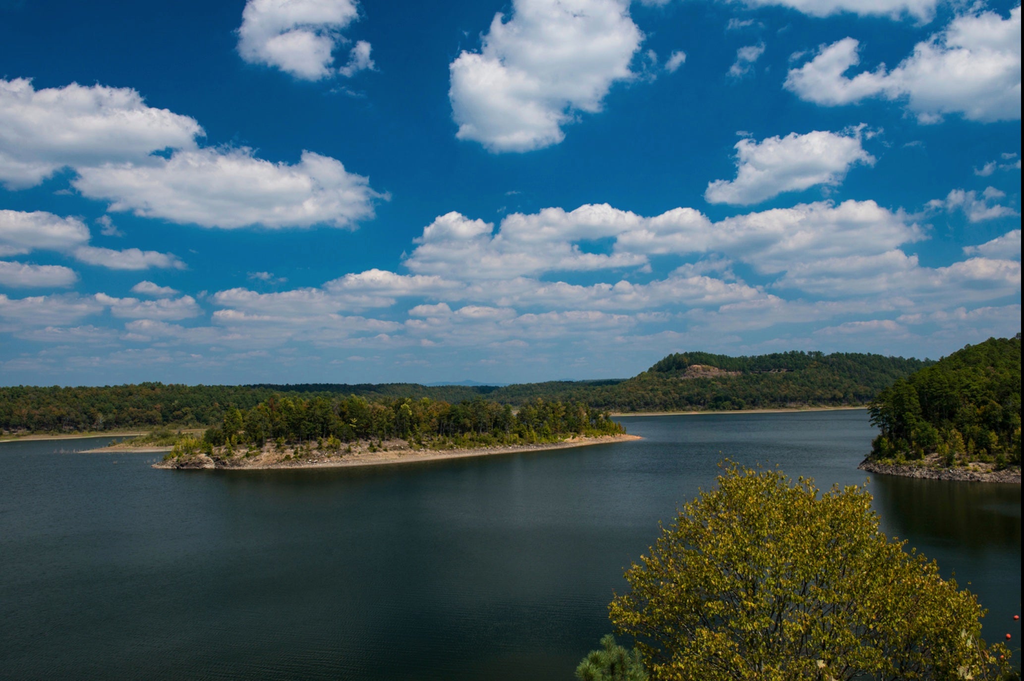 Fish the annual TriLakes Big Bass Festival